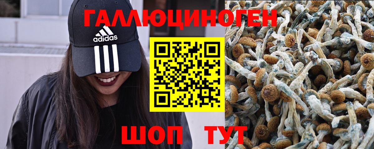 Псилоцибиновые грибы мицелий  Псилоцибиновые грибы Magic Shrooms  Вход с VPN  Советск 