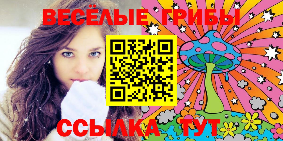 Галлюциногенные грибы GOLDEN TEACHER Советск