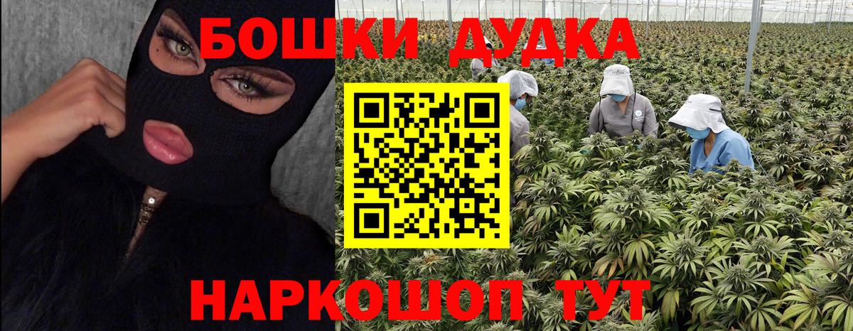 Конопля OG Kush Советск